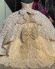 Strapless Quinceanera Dama Dresses Champagne With Bowties Back