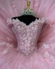 Tulle Floor Length Pink Butterfly Quince Dress