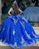 Fringe Sleeve Blue Quince Dress Metallic Sequin 15 Dresses Sweetheart Neck Ball Gown