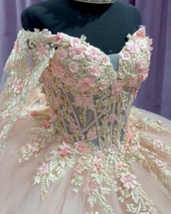 Long Sleeve Light Pink 15 Dresses V Neck Ball Gown 3D Floral Appliques Quince Dress