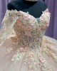 Long Sleeve Light Pink 15 Dresses V Neck Ball Gown 3D Floral Appliques Quince Dress