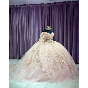 Long Sleeve Light Pink 15 Dresses V Neck Ball Gown 3D Floral Appliques Quince Dress