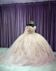 Long Sleeve Light Pink 15 Dresses V Neck Ball Gown 3D Floral Appliques Quince Dress