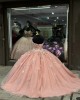 Long Sleeve Pink 15 Dresses Metallic Leaf Ball Gown Sweetheart Neck Dress With Bow