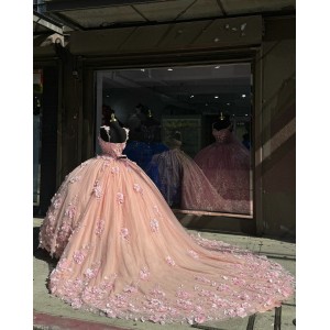 Pink Spaghetti Strap Quinceanera Dresses 3D Floral Appliques Sweetheart Neckline 15 Dress