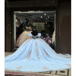 Puff Sleeve Sky Blue 15 Dresses Sweetheart Neck Ball Gown Metallic Appliques Dress