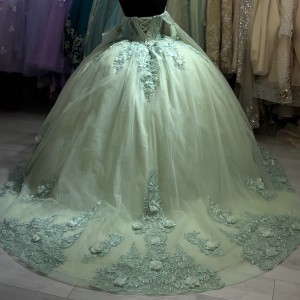 Sage Green Quinceanera Dress Three-Dimensional Embroidered Ball Gown With Long Sleeve