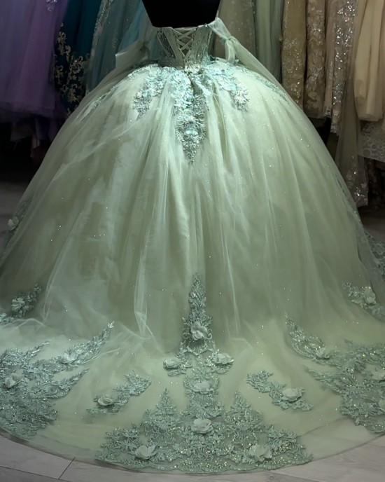 Sage Green Quinceanera Dress Three-Dimensional Embroidered Ball Gown With Long Sleeve