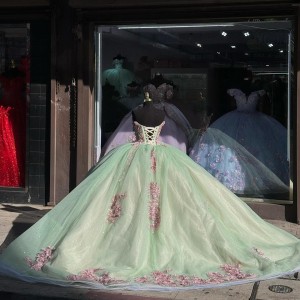 Strapless Sage Green Quinceanera Dresses V Neck Pearl 15 Dress With 3D Floral Appliques