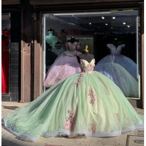 Strapless Sage Green Quinceanera Dresses V Neck Pearl 15 Dress With 3D Floral Appliques