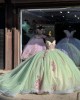 Strapless Sage Green Quinceanera Dresses V Neck Pearl 15 Dress With 3D Floral Appliques