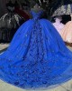 Off Shoulder Blue Quinceanera Dresses Sweetheart Neck Ball Gown Metallic Sequin 15 Dress With Three Dimensional Butterfly