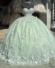 Off Shoulder Sage Green Quinceanera Dresses Sweetheart Neck Ball Gown 3D Flowers 15 Dress