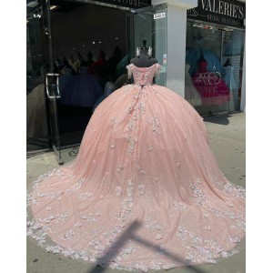 Fringe Sleeve Pink Quinceanera Dress Sweetheart 15 Dresses With Multi Color Floral Ball Gown