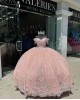 Fringe Sleeve Pink Quinceanera Dress Sweetheart 15 Dresses With Multi Color Floral Ball Gown