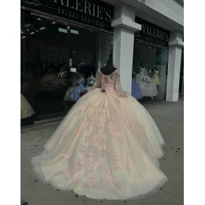 Long Sleeve Champagne Quinceanera Dresses V Neck Lace Appliques 15 Dress