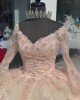 Long Sleeve Champagne Quinceanera Dresses V Neck Lace Appliques 15 Dress