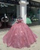 Long Sleeve Hot Pink Quinceanera Dresses Sweetheart Neck Metallic Sequin 15 Dress