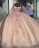 Long Sleeve Rose Gold Quinceanera Dresses Lace Appliques Ball Gown Sweetheart 15 Dress