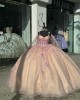 Long Sleeve Rose Gold Quinceanera Dresses Lace Appliques Ball Gown Sweetheart 15 Dress