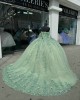 Long Sleeve Sage Green Quinceanera Dresses Strapless Sweetheart Neck 15 Dress With 3D Flowers