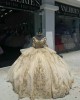 Of The Shoulder Champagne Quinceanera Dress Leaf Three Dimensional Flowers Ball Gown 15 Dresses