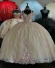 Off Shoulder Champagne Quince Dress V Neck 3D Floral Ball Gown 15 Dresses