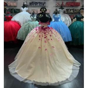 Off Shoulder Champagne Quinceanera Dresses Sweetheart Ball Gown 15 Dress With 3D Floral Appliques