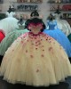 Off Shoulder Champagne Quinceanera Dresses Sweetheart Ball Gown 15 Dress With 3D Floral Appliques