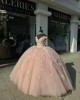 Off Shoulder Pink Quinceanera Dresses V Neck Ball Gown 15 Dress With 3D Floral Appliques