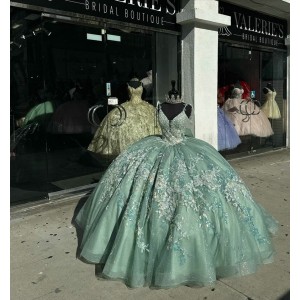 Spaghetti Strap Sage Green Quinceanera Dresses V Neck 3D Floral Appliques 15 Dress With Bow