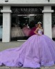 V Neck Lilac Quinceanera Dresses Off Shoulder Ball Gown Metallic Sequin Crystal 15 Dress