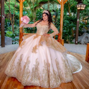 Long Sleeve Champagne Quinceanera Dress Lace Appliques Scoop Neck 15 Dresses