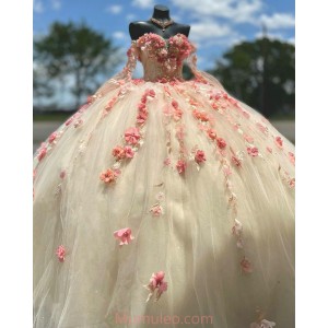 Long Sleeve Nudu Quinceanera Dresses Sweetheart Neck 15 Dress With 3D Flowers