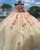 Long Sleeve Nudu Quinceanera Dresses Sweetheart Neck 15 Dress With 3D Flowers