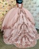 Long Sleeve Rose Gold Quinceanera Dresses Metallic Sequin Sweetheart Neck 15 Dress