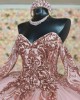 Long Sleeve Rose Gold Quinceanera Dresses Metallic Sequin Sweetheart Neck 15 Dress