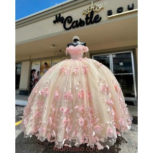 Off Shoulder Pink Quinceanera Dresses Sweetheart Neck 15 Dress With 3D Flowers