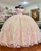 Off Shoulder Pink Quinceanera Dresses Sweetheart Neck 15 Dress With 3D Flowers