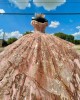 Off Shoulder Rose Gold Quinceanera Dresses Metallic Embroidered V Neck 15 Dress