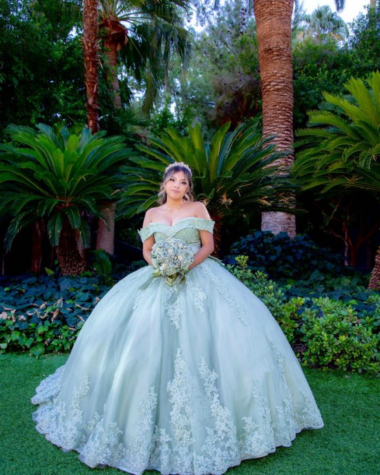 Off Shoulder Sage Green Quinceanera Dress Lace Appliques Sweetheart Neck 15 Dresses With Bow