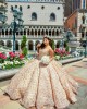 Sleeveless Champagne Quinceanera Dress Metallic Sequin Strapless 15 Dresses With Bow