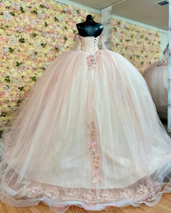 Long Sleeve Pink Quince Dresses Crystal Sequin Sweetheart Neck 15 Dress With 3D Flowers