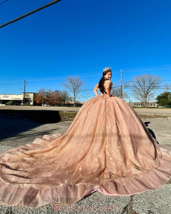 Off Shoulder Champagne Quinceanera Dresses Sweetheart Neck Metallic Sequin 15 Dress