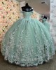 Off Shoulder Sage Green Quince Dresses Lace Appliques Sweetheart Neck 15 Dress