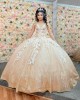 Sleeveless Champagne Quince Dresses 3D Flowers Sweetheart Neck 15 Dress With Bow