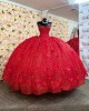 Sleeveless Red Quince Dresses Sweetheart Neck 15 Dress With 3D Floral Appliques