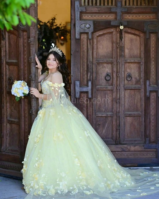 Cape Sleeve Yellow Quinceanera Dress V Neck Lace Appliques 15 Dresses With 3D Flowers