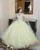 Cape Sleeve Yellow Quinceanera Dress V Neck Lace Appliques 15 Dresses With 3D Flowers