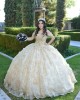 Metallic Sequin Off Shoulder Champagne Quince Dresses Lace Appliques Sweetheart Neck 15 Dress